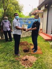 Tree planting 3